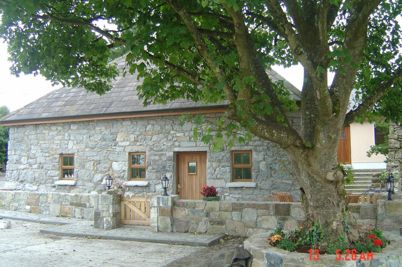 Traditional Stone Cottage 300 Years+ Galway Eksteriør billede